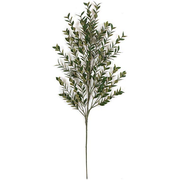 31 Inch Fire Retardant Ruscus Branch (set Of 12)