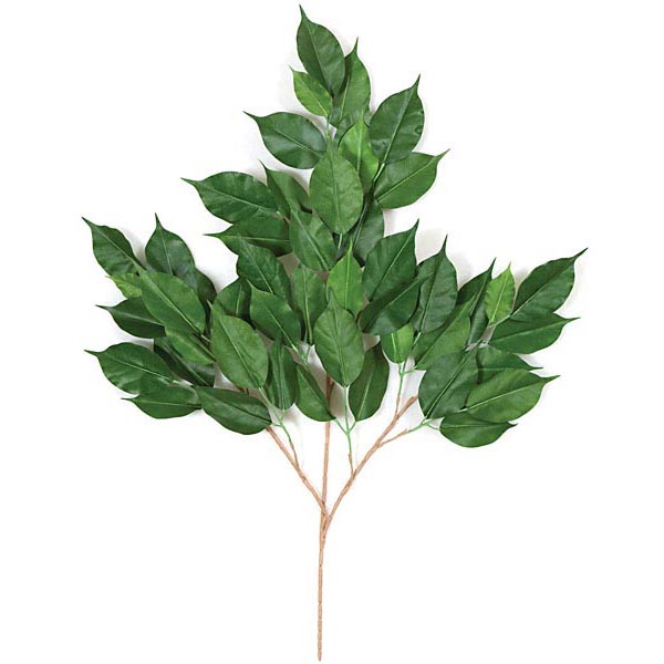 29 inch Fire Retardant Ficus Branch (Set of 12)
