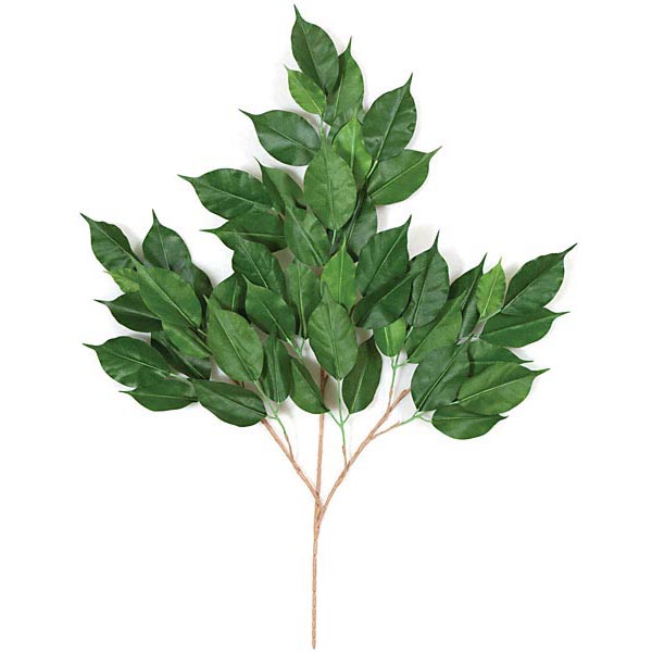 29 Inch Fire Retardant Ficus Branch (set Of 12)