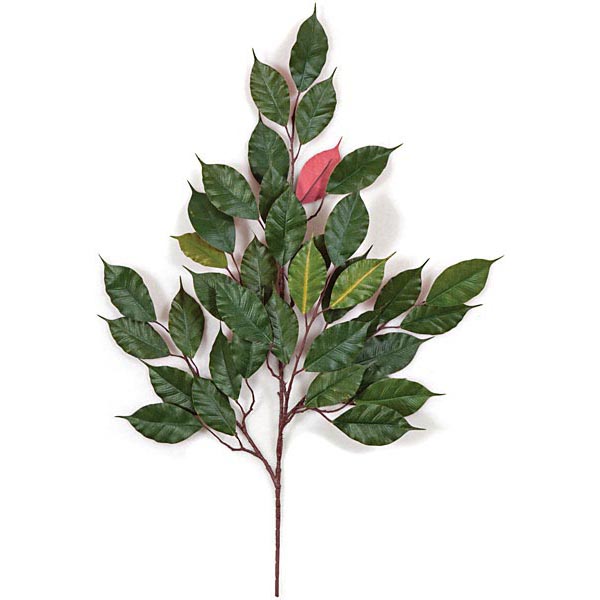 25 Inch Fire Retardant Red Ficus Branch (set Of 12)