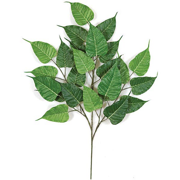 31 inch Fire Retardant Bo Ficus Branch (Set of 12)