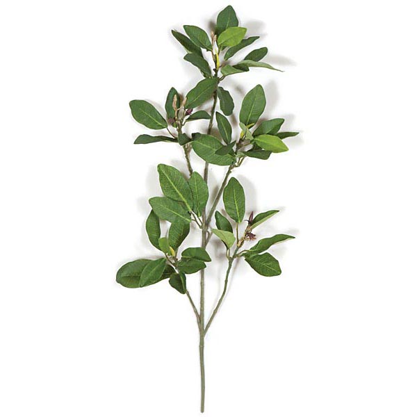24 inch Fire Retardant Mangrove Branch (Set of 12) - AGF6212 - Christmas Trees This slim 24 inch Mangrove Branch is perfect for a sku AGF6212