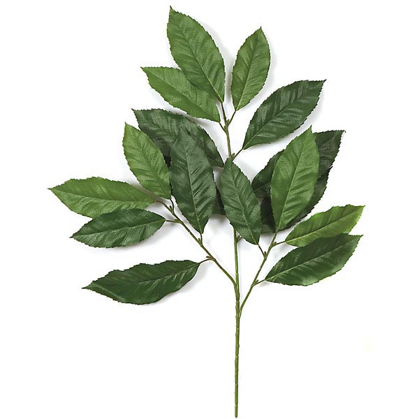 29 inch Fire Retardant Chestnut Branch (Set of 12)