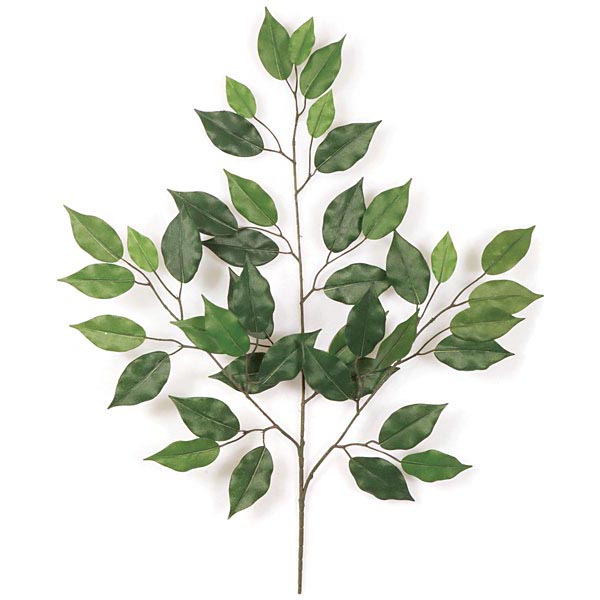 24 inch Fire Retardant Ficus Branch (Set of 36)