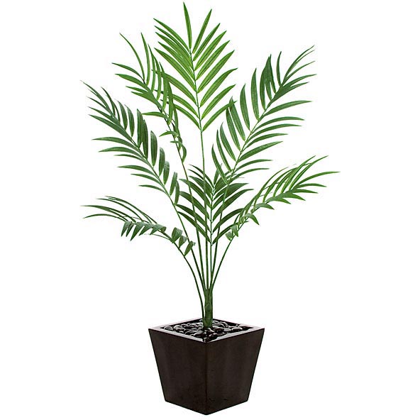 6.5 foot Fire Retardant Kentia Palm: Potted