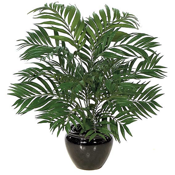 30 Inch Fire Retardant Areca Palm: Potted (set Of 2)