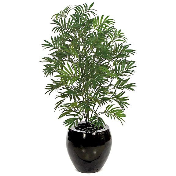 4.5 foot Fire Retardant Areca Palm: Potted
