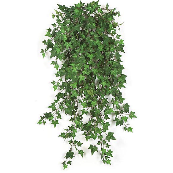 38 inch Fire Retardant English Ivy (Set of 2)