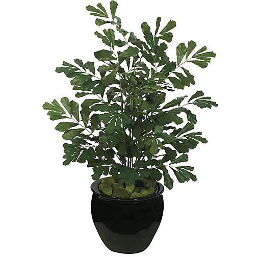 75 inch Fire Retardant Sugar Palm: Potted