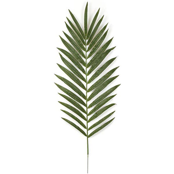 56 inch Fire Retardant Kentia Palm Branch (Set of 12)