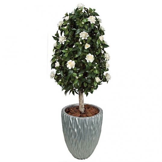 potted plant saucer Watson Pot & Saucer White Medium