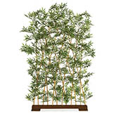 70H x 39.5W inch Tutone Bamboo Wall Tree in Wooden Base (Set of 2)