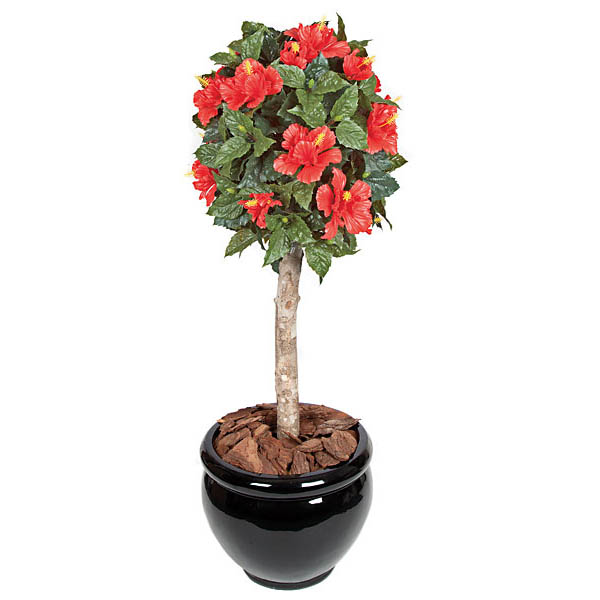 3.5 Foot Red Outdoor Hibiscus Ball Topiary: Potted