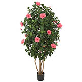 5.5 foot Hot Pink Hibiscus Tree: Potted