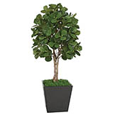 7 foot Artificial Fiddle Leaf Fig Tree: Potted
