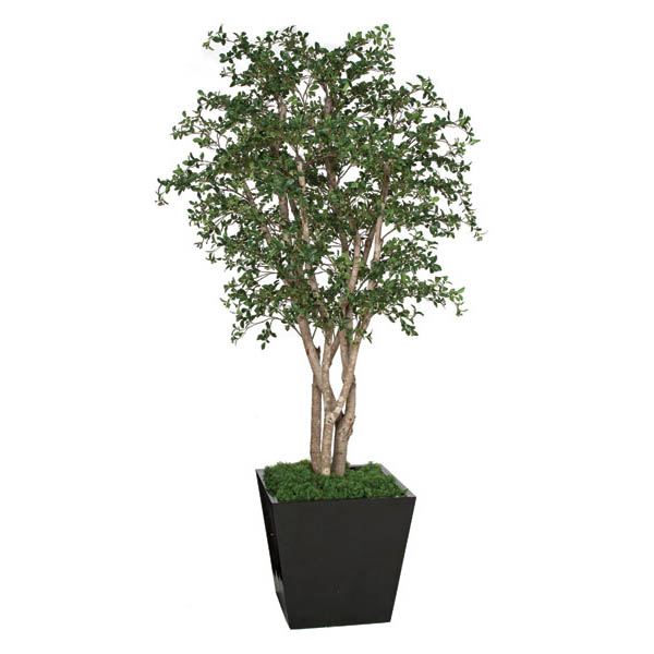 8 foot Artificial Oak Tree with Natural Trunks: Potted