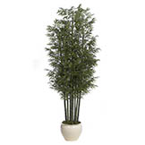 12 foot Bamboo Tree with 7 Natural Trunks: Potted