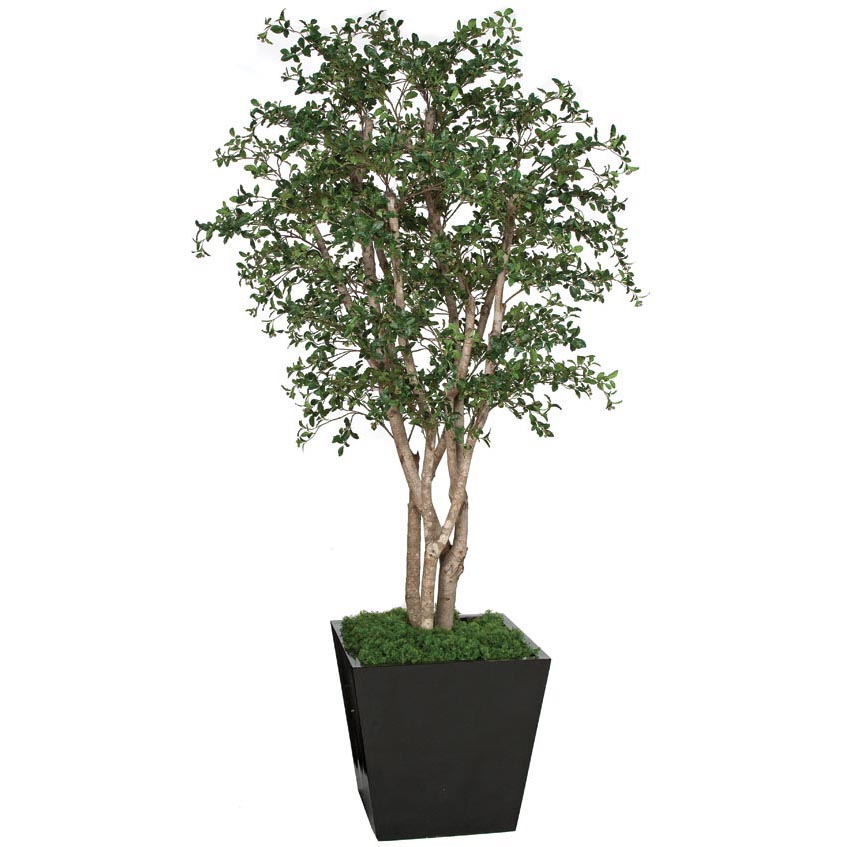8 foot Fire Retardant Oak Tree with Natural Trunks: Potted
