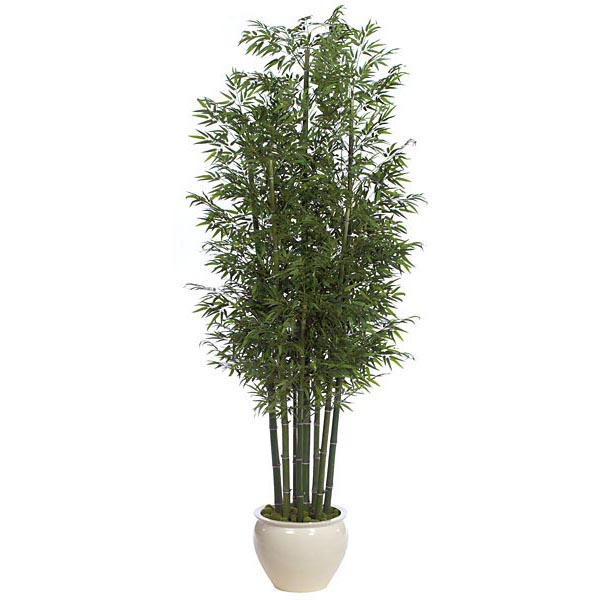 12 foot Fire Retardant  Bamboo Palm Tree with Natural Cane