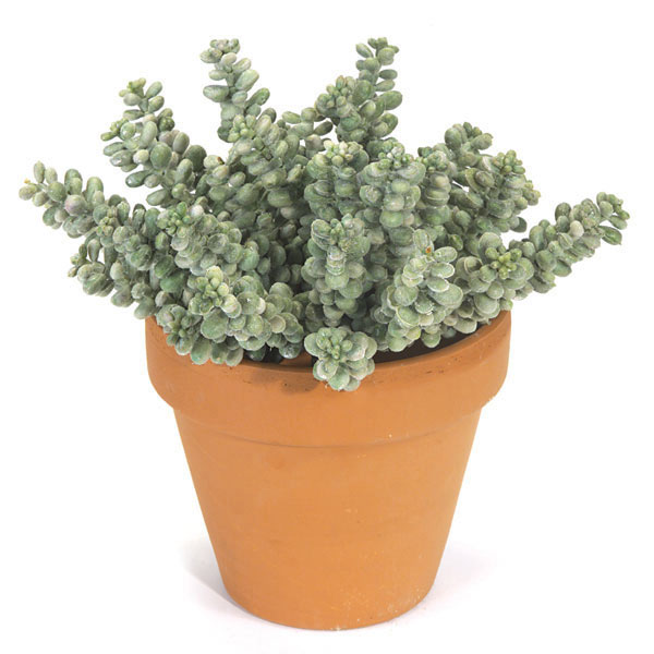 7 Inch Artificial Fat Sedum Bush: Unpotted