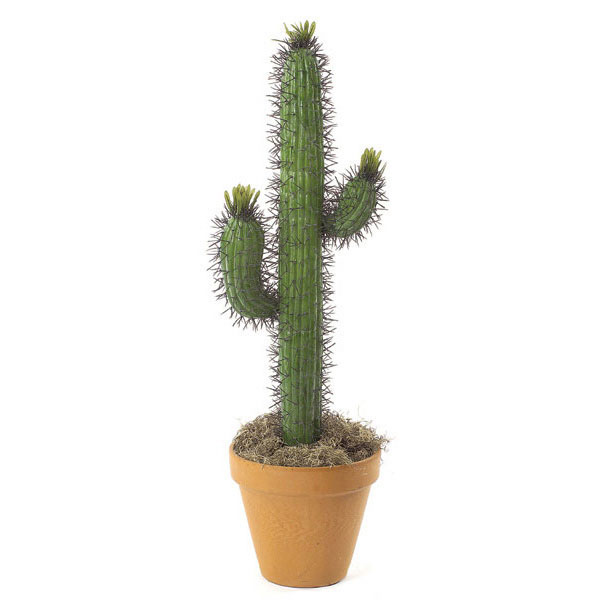 28 Inch Artificial Saguaro Cactus