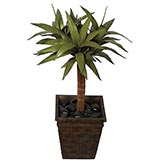 34 inch Natural Touch Yucca Tree (Set of 2)