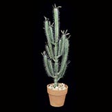 46 inch Artificial Finger Cactus
