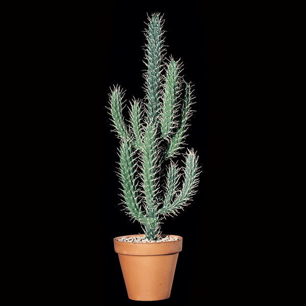 4 foot Artificial Round Finger Cactus