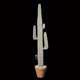 6 foot Plastic White Flocked Mexican Cactus
