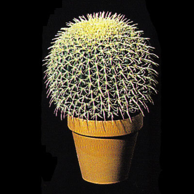inch Plastic Barrel Cactus: Unpotted