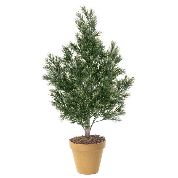 4 Foot Artificial Outdoor Podocarpus Bush: Natural Trunk