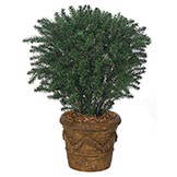 37 inch Artificial Outdoor Taxus Yew: Potted