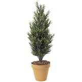 3 foot Artificial Outdoor Podocarpus Bush: Natural Trunk
