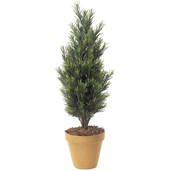 3 Foot Artificial Outdoor Podocarpus Bush: Natural Trunk