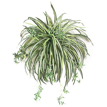 24 Inch Artificial Spider Plant: Unpotted