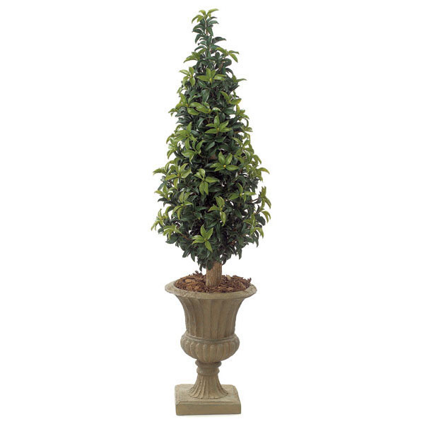 5 foot Artificial Outdoor Laurel Cone Topiary: Natural Trunk