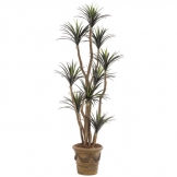 6.5 foot Artificial Outdoor Liriope Tree: Potted