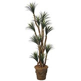 7 foot Artificial Outdoor Liriope Tree: Potted