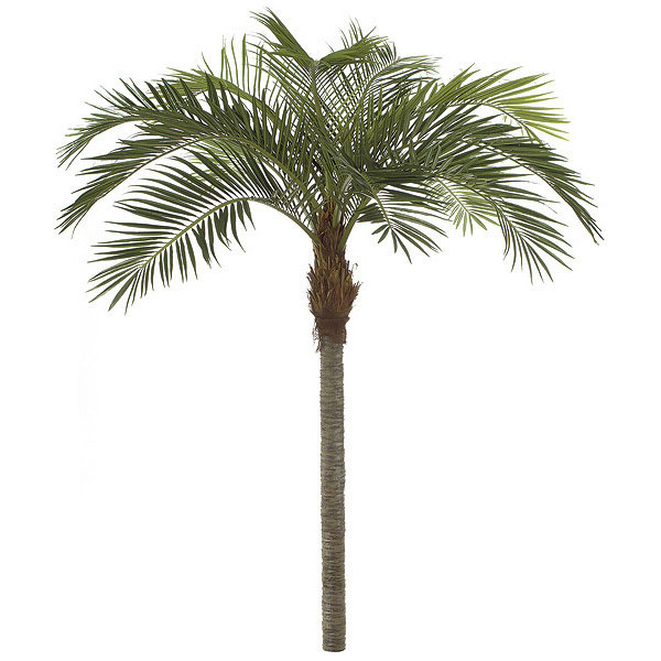 AGF1061 11 foot Coconut Palm: Synthetic Trunk sku AGF1061