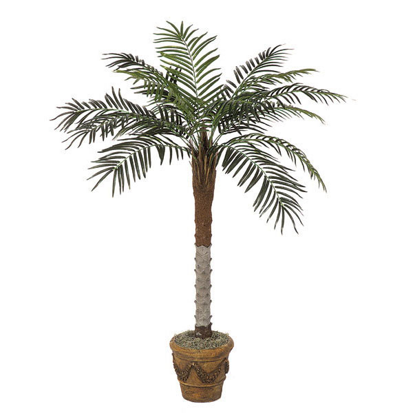 5 foot Phoenix Palm: Synthetic Trunk