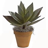 23 inch Natural Touch Agave Plant: Unpotted (Set of 2)