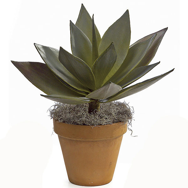 23 Inch Natural Touch Agave Plant: Unpotted (set Of 2)