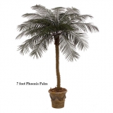 7 foot Outdoor Artificial Phoenix Palm with 18 Fronds
