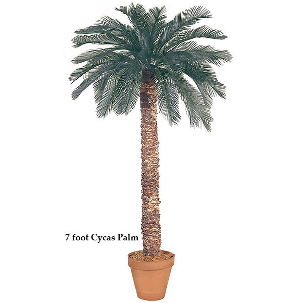8 foot Artificial Outdoor Cycas Palm with 36 Fronds and Natural Trunk