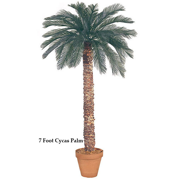 5 foot Artificial Outdoor Cycas Palm with 36 Fronds and Natural Trunk