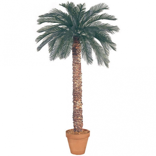 Outdoor fake palm shop trees