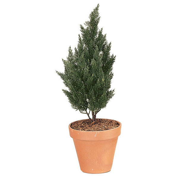 37 Inch Artificial Outdoor Cypress Tree