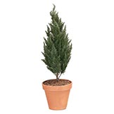 40 inch Artificial Outdoor Cypress Tree