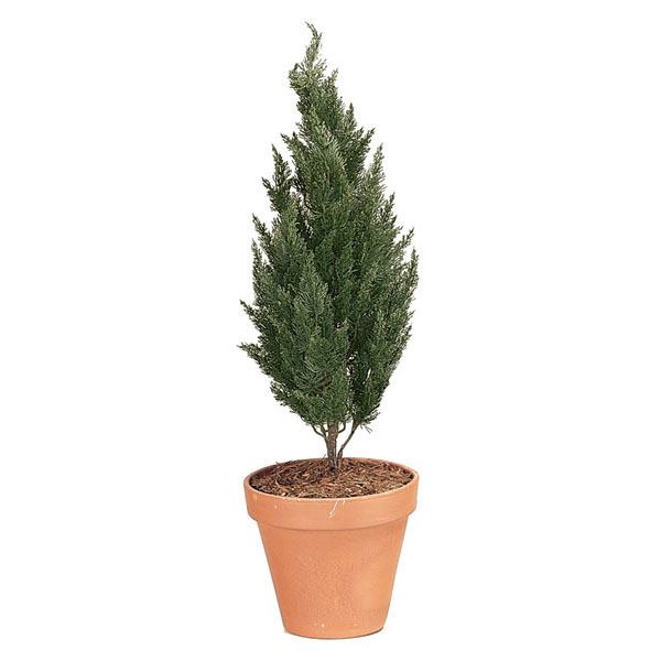 40 inch Artificial Outdoor Cypress Tree