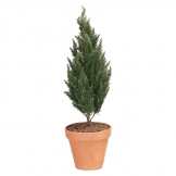 40 inch Artificial Outdoor Cypress Tree